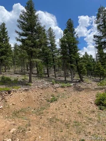 28651 Belle Point Drive Conifer, CO 80433