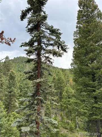 28651 Belle Point Drive Conifer, CO 80433