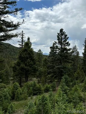 28651 Belle Point Drive Conifer, CO 80433