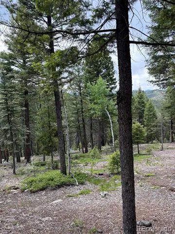 28651 Belle Point Drive Conifer, CO 80433