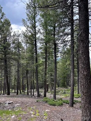 28651 Belle Point Drive Conifer, CO 80433