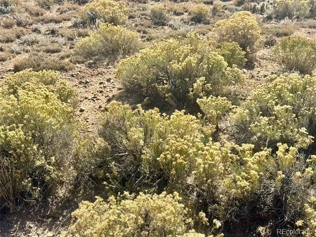 lot 3 S 9th Street Blanca, CO 81123