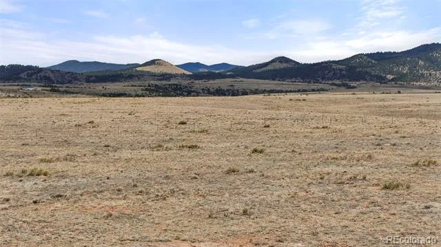 TBD Deer Springs Circle Westcliffe, CO 81252