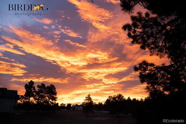 7905 Ponderosa Lane Parker, CO 80138