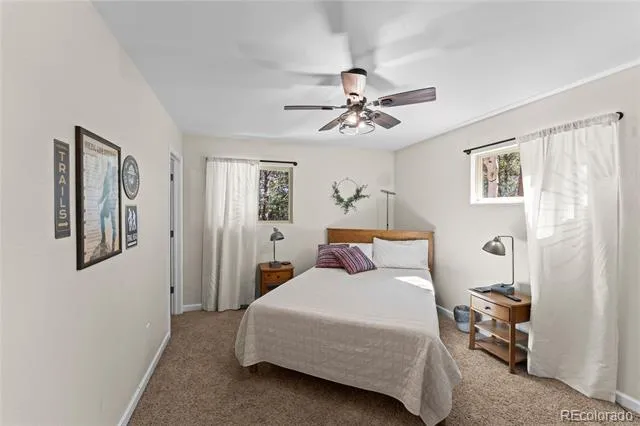 417 Coraline Street Woodland Park, CO 80863