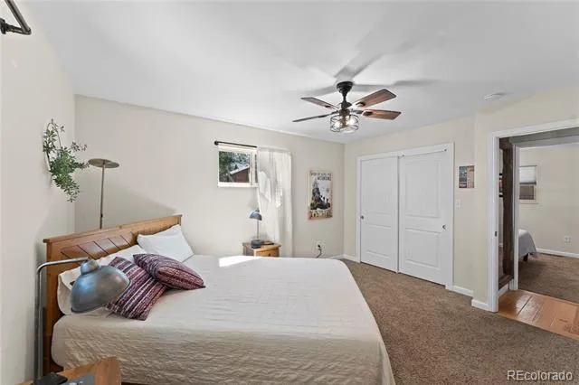 417 Coraline Street Woodland Park, CO 80863