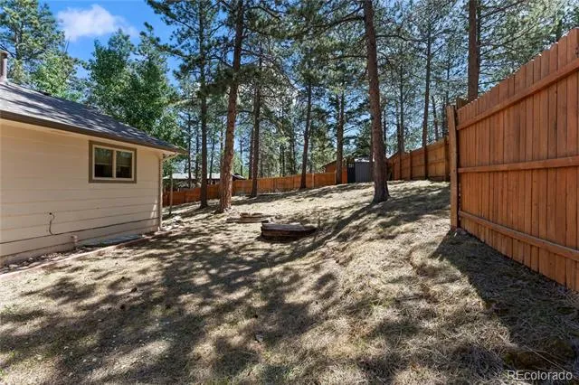 417 Coraline Street Woodland Park, CO 80863