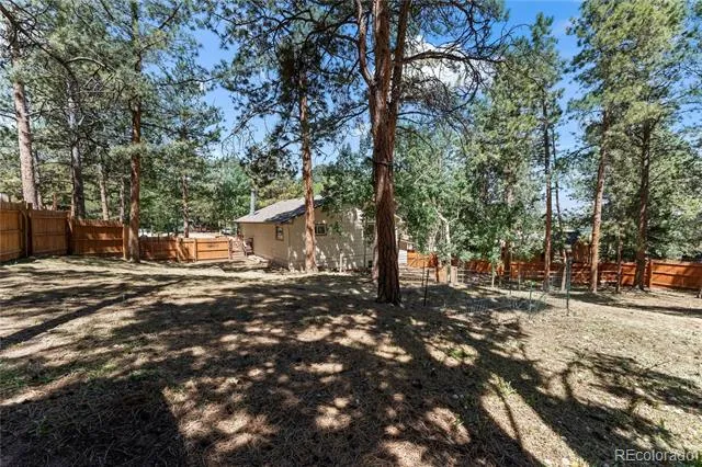 417 Coraline Street Woodland Park, CO 80863