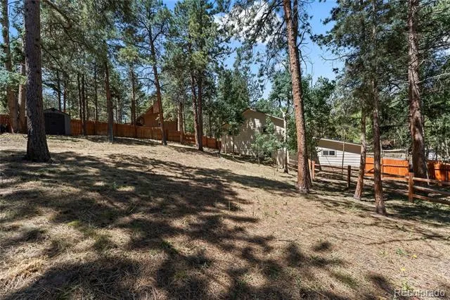 417 Coraline Street Woodland Park, CO 80863