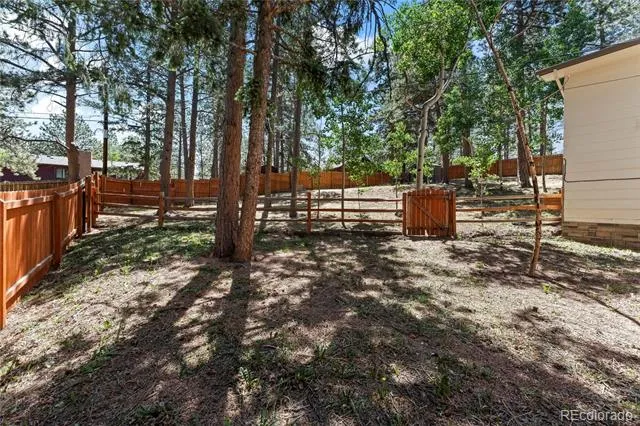 417 Coraline Street Woodland Park, CO 80863