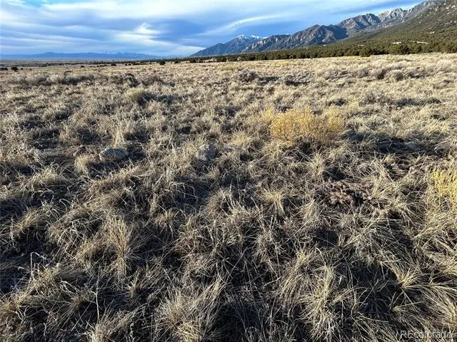 3292 Camino Del Rey Crestone, CO 81131