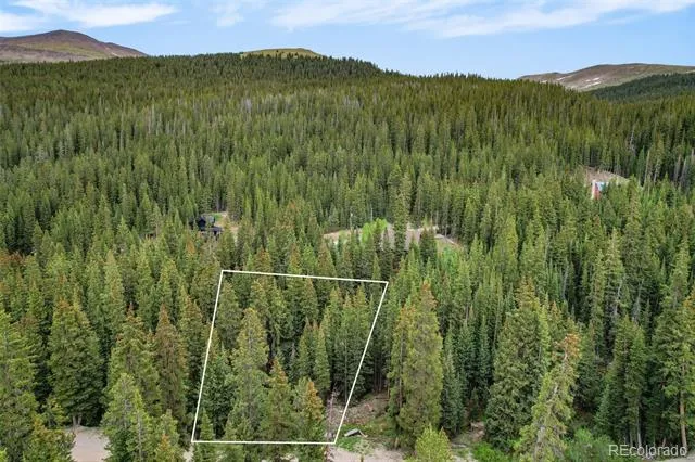 286 CTY Road 675 Breckenridge, CO 80424