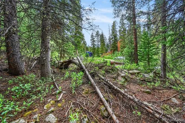 286 CTY Road 675 Breckenridge, CO 80424