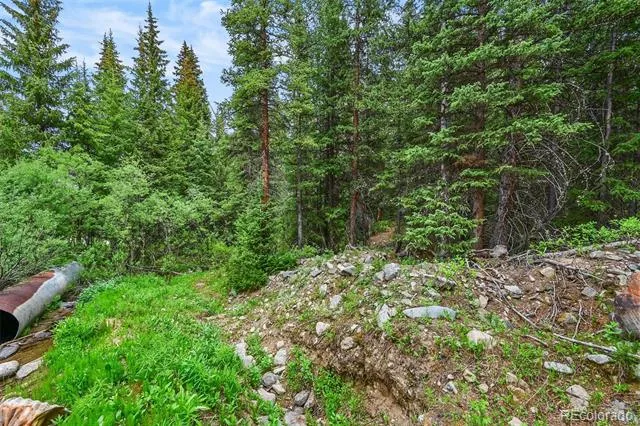 286 CTY Road 675 Breckenridge, CO 80424