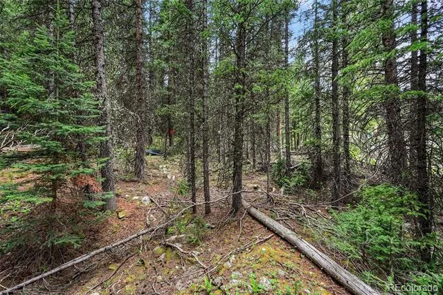 286 CTY Road 675 Breckenridge, CO 80424