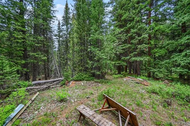 286 CTY Road 675 Breckenridge, CO 80424