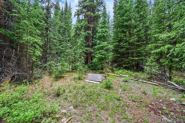 286 CTY Road 675 Breckenridge, CO 80424