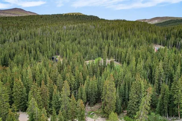 286 CTY Road 675 Breckenridge, CO 80424