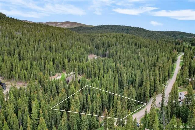 286 CTY Road 675 Breckenridge, CO 80424