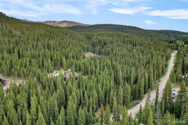 286 CTY Road 675 Breckenridge, CO 80424