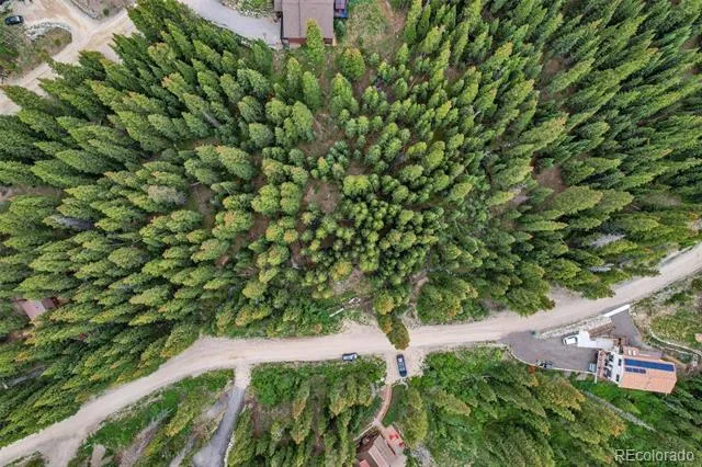 286 CTY Road 675 Breckenridge, CO 80424
