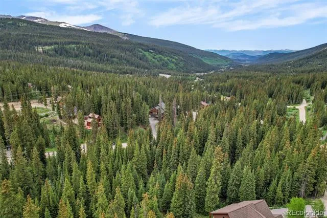 286 CTY Road 675 Breckenridge, CO 80424