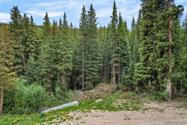 286 CTY Road 675 Breckenridge, CO 80424