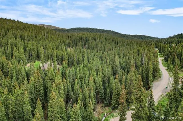 286 CTY Road 675 Breckenridge, CO 80424