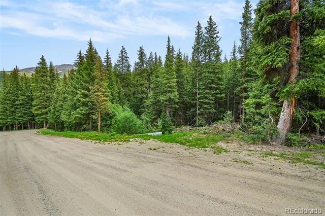 286 CTY Road 675 Breckenridge, CO 80424