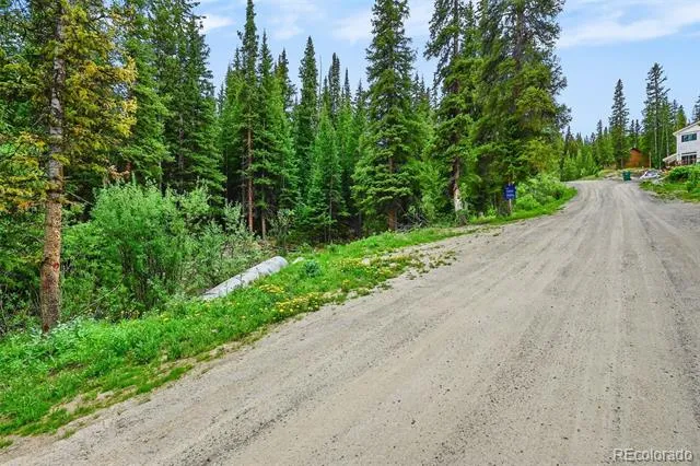 286 CTY Road 675 Breckenridge, CO 80424