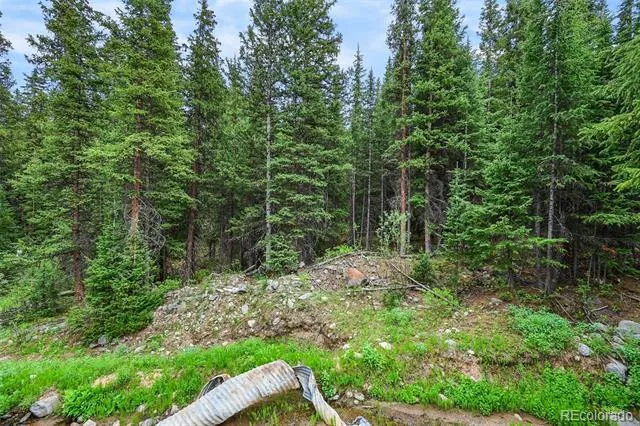 286 CTY Road 675 Breckenridge, CO 80424