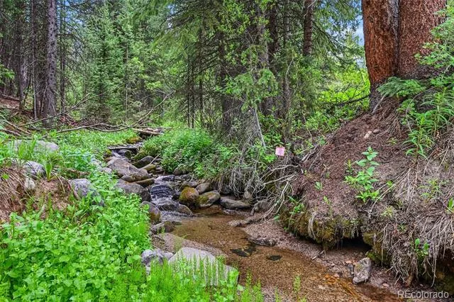 286 CTY Road 675 Breckenridge, CO 80424