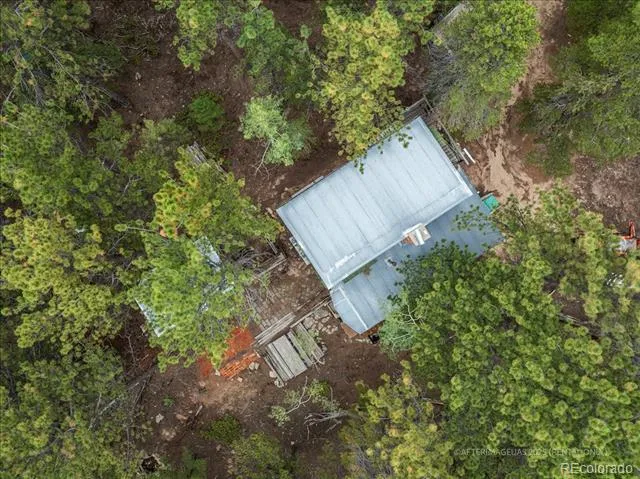 177 Sutherland Road Allenspark, CO 80510