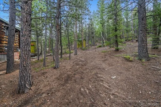 177 Sutherland Road Allenspark, CO 80510