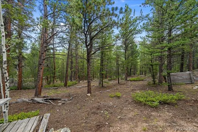 177 Sutherland Road Allenspark, CO 80510