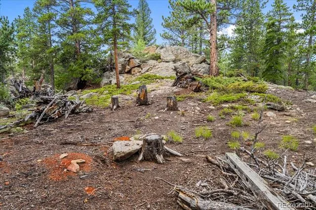 177 Sutherland Road Allenspark, CO 80510
