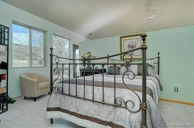 18311 Wagon Trail Buena Vista, CO 81211
