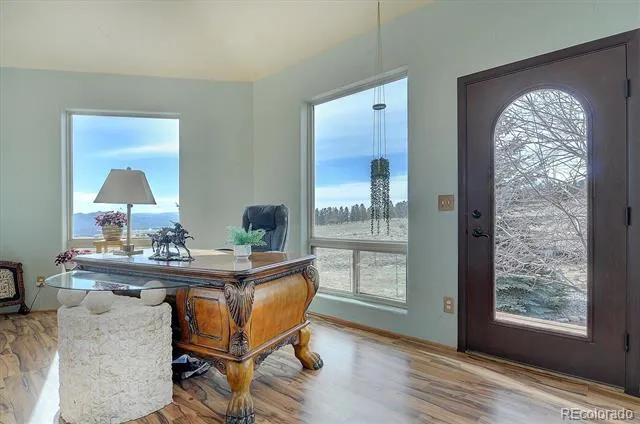 18311 Wagon Trail Buena Vista, CO 81211
