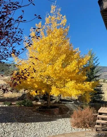 18311 Wagon Trail Buena Vista, CO 81211