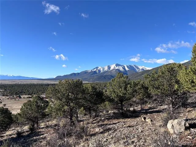 30499 Valley View Buena Vista, CO 81211