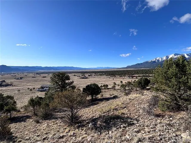 30499 Valley View Buena Vista, CO 81211