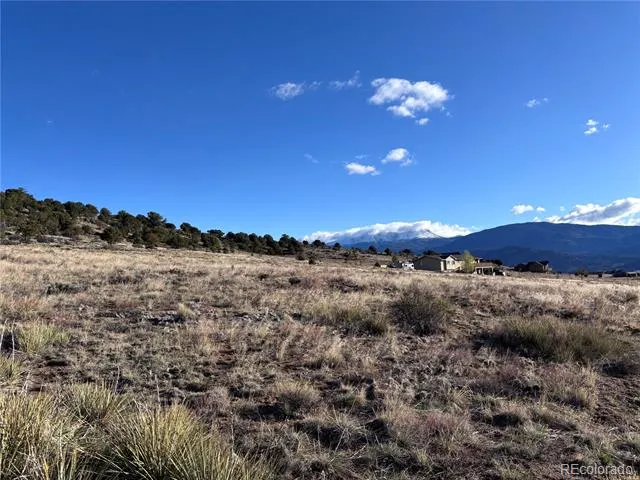 30499 Valley View Buena Vista, CO 81211