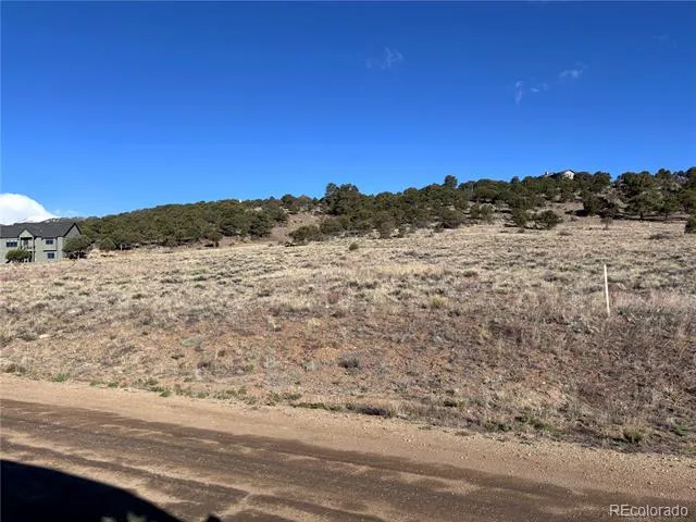 30499 Valley View Buena Vista, CO 81211