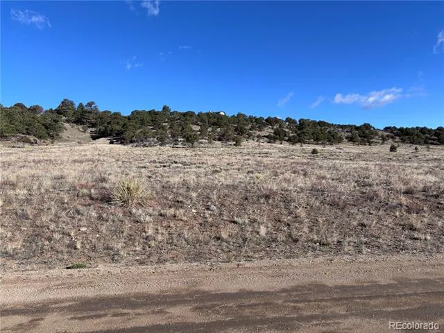 30499 Valley View Buena Vista, CO 81211