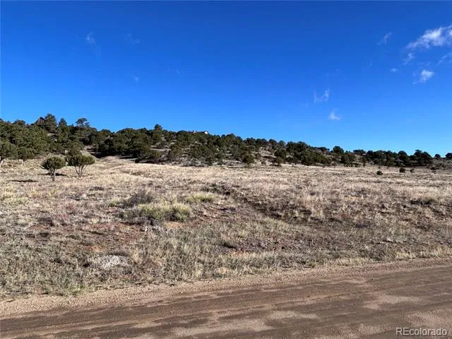 30499 Valley View Buena Vista, CO 81211