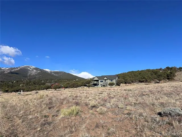30499 Valley View Buena Vista, CO 81211