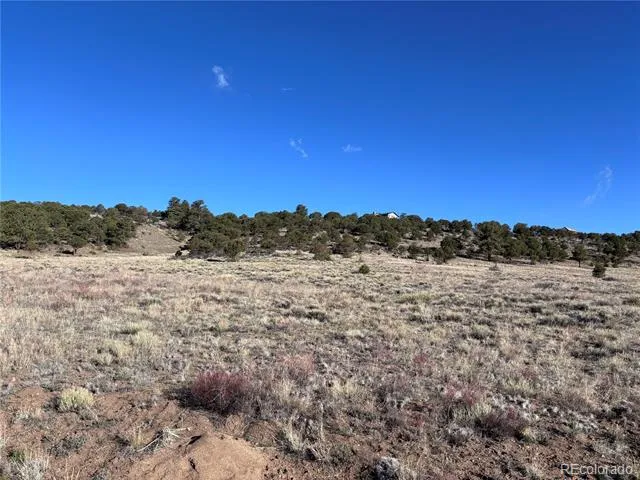 30499 Valley View Buena Vista, CO 81211