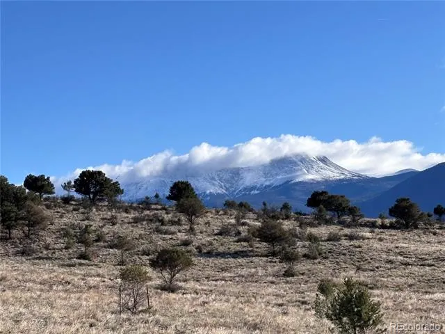 30499 Valley View Buena Vista, CO 81211