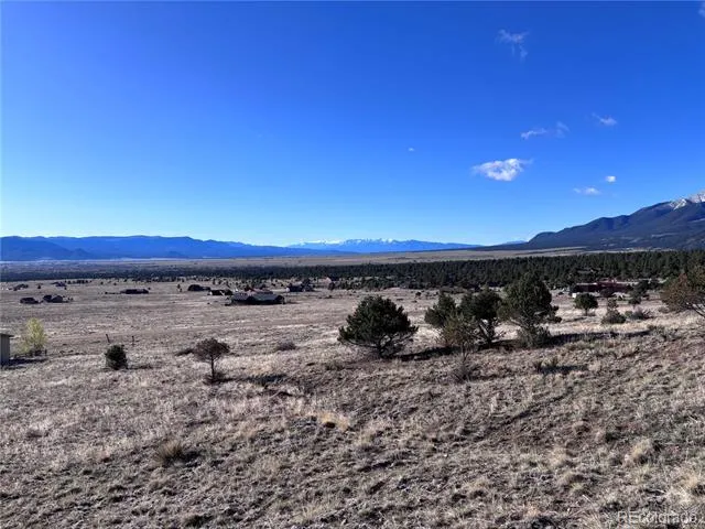30499 Valley View Buena Vista, CO 81211