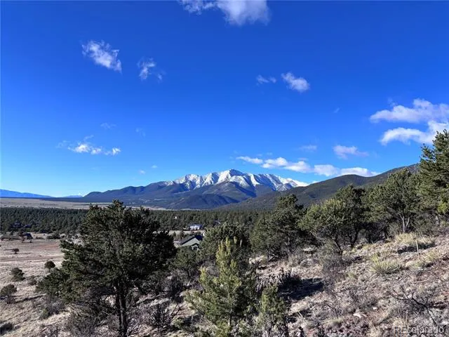 30499 Valley View Buena Vista, CO 81211